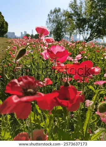 The scene captures elements of nature such as grass, trees, and a blue sky overhead. 