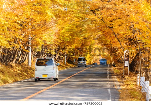 Scene of cars drive along the road with autumn\
red leaf in Aomori, Japan. Beautiful country side along the road\
great time for travel.