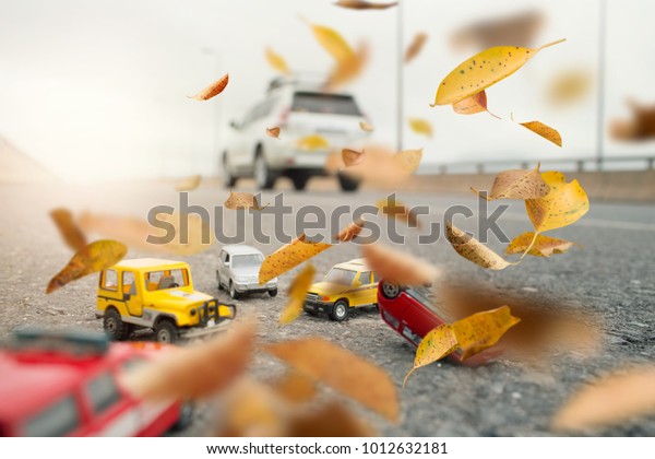Scene of cars
(miniature, toy model ) accident on street,autumn leaves.Travel and
 insurance concept.