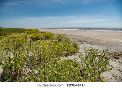 Scene Of Coastal Louisiana At Holly Beach In Cameron Parish