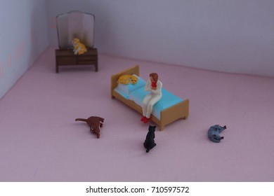 Scene Created With Miniature Toy People. Stereotype Of The Lonely Or Crazy Cat Woman. Lady With Many Cats In Her Apartment Or House. How Many Cats Is Too Many Cats?