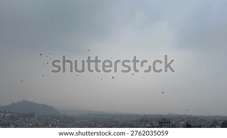 The scene of crows flying in the sky - Massive flocks of crows flying in the sky create a dramatic, often eerie spectacle, with large groups circling or gathering, frequently observed over urban areas.