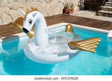 Scene Of A Cute Inflatable Dragon Floating On House Swimming Pool On Sunny Day. No People