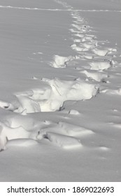 Scene With Footsteps In Snow