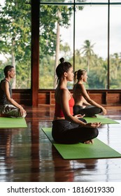 Scene Of A Group Of People Practicing Yoga In Class.