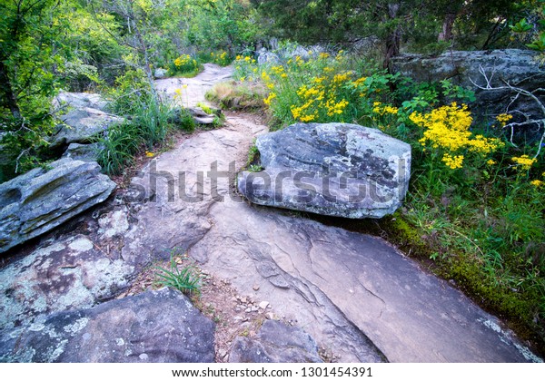 Scene Hiking Trail Kennesaw Mountain National Stock Photo Edit Now