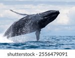 A scene of a large whale jumping up from the sea