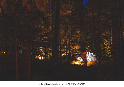 Scene Of Many Camps In Camp Ground Area At Night In National Park.