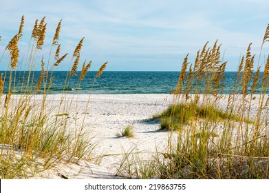 A Scene On The Gulf Coast Of Alabama.