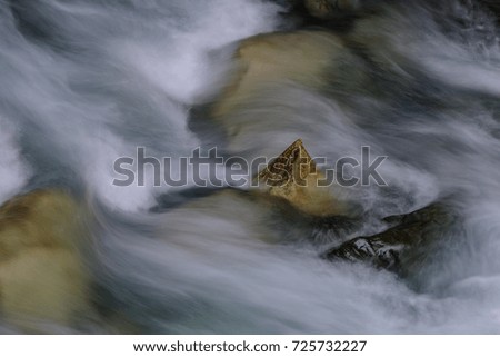 Similar – Foto Bild grün mediterran Mittelmeer