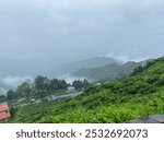 The scene shows a misty mountain landscape with green hills, dotted with trees and a few buildings, under a cloudy gray sky.