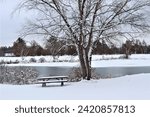 A scene of Suukjak Sep Lake at Pine View Campground in the Pine View Recreation Area is shown Jan. 11, 2024