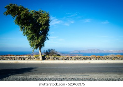 A scene of a tree on the street side with the oceon view and blue sky