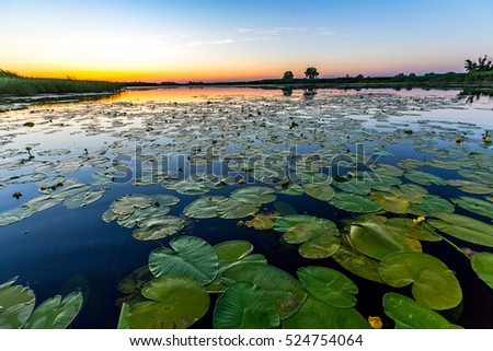 Similar – Image, Stock Photo seascape Reflection