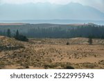 A scene where sandy dunes gradually blend into lush green vegetation, creating a contrast between arid and fertile landscapes. The hazy sky adds a soft, atmospheric quality to the environment. 