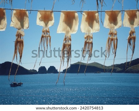 A scene where squid is hung on a line and dried in a village near the sea