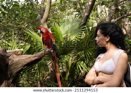 Scene of a young woman looking attentively at the beautiful multicolored plumage of the famous ara macao bird, one of the typical macaws of the Amazonian rainforests of the tropics and Central America