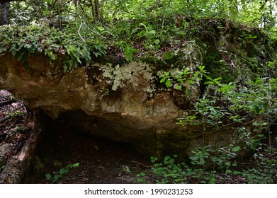 Sceneries From The Peachtree  Rock Heritage Preserve In Lexington County, SC, USA