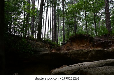 Sceneries From The Peachtree  Rock Heritage Preserve In Lexington County, SC, USA