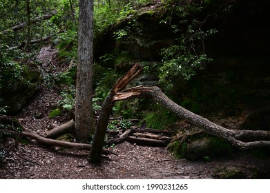 Sceneries From The Peachtree  Rock Heritage Preserve In Lexington County, SC, USA