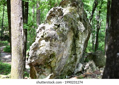 Sceneries From The Peachtree  Rock Heritage Preserve In Lexington County, SC, USA