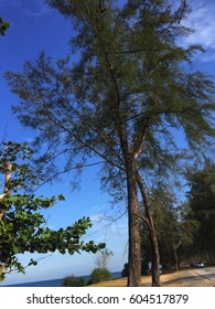 Scenery