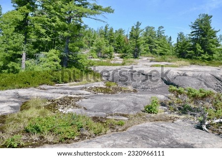Scenery along Fairy Trail at Georgian Bay Islands National Park during Summer