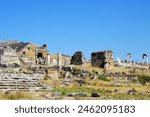 A scenery of Artemis statue and the temple of Hierapolis.