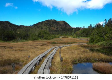 Scenery Of Autumn Shiga Kogen(Shiga Highlands), Nagano, Japan