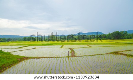 scenery beautiful field and farm with country village house of lampang thailand and blue mountain sky in niceday