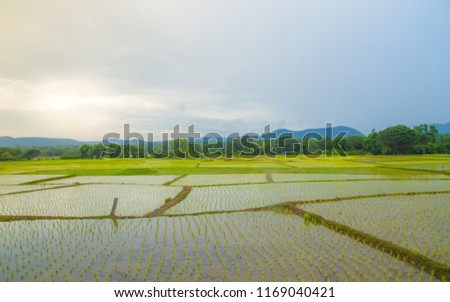 scenery beautiful field and farm with country village house of lampang thailand and blue mountain sky in niceday