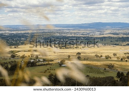 Scenery beyond Bush Wildflower, Mount Panorama, Bathurst, NSW, Australia