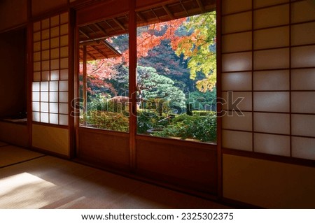 Scenery of brilliant maple foliage in the courtyard garden viewed thru the Shoji window of a traditional Japanese Tatami room on a beautiful sunny autumn day, in Tokyo Metropolitan Teien Art Museum
