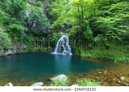 Scenery of cool Senjyudaki waterfalls surrounded by greenery seen at Akame48 Waterfalls