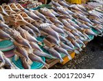 Scenery of fresh fish sales at Jagalchi Market