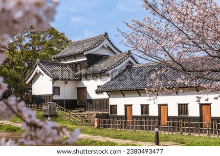 scenery of Fukuoka castle with cherry blossom in Fukuoka, Kyushu, Japan