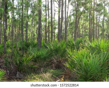 Gordon River Greenway Images Stock Photos Vectors Shutterstock