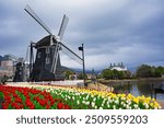 Scenery of Huis Ten Bosch with tulips in bloom