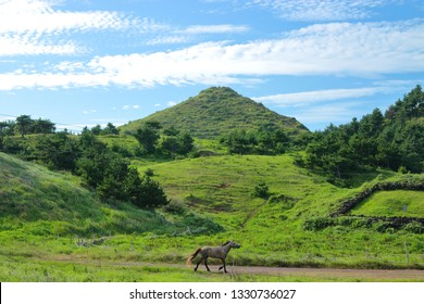 It is scenery of  Jeju Songa Mountain