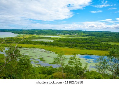 Scenery Of Kushiro Marsh