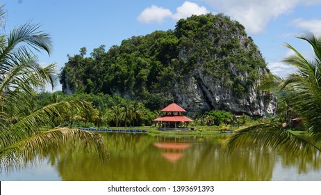 Gua Musang Hd Stock Images Shutterstock