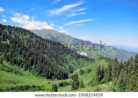 Scenery landscape view of Ile Alatau mountains in the Ile Alatau National Natural Park on a bright shiny day. Atmospheric green forest landscape with firs in mountains. View to conifer trees and rocks