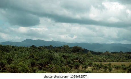 Scenery Of Malaysia Around The East Coast Highway