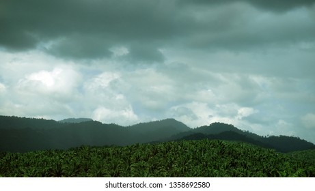 Scenery Of Malaysia Around The East Coast Highway