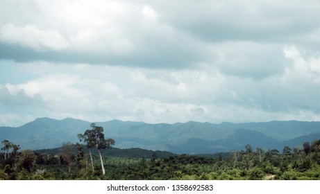 Scenery Of Malaysia Around The East Coast Highway