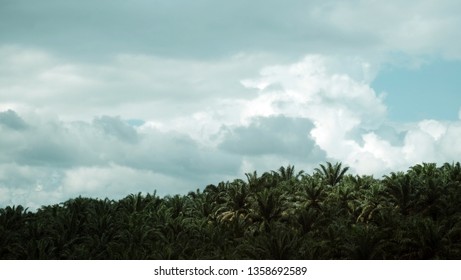 Scenery Of Malaysia Around The East Coast Highway