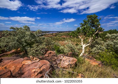 Scenery In Mapungubwe National Park, South Africa