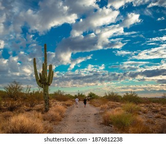 Scenery from the McDowell Sonoran Preserve