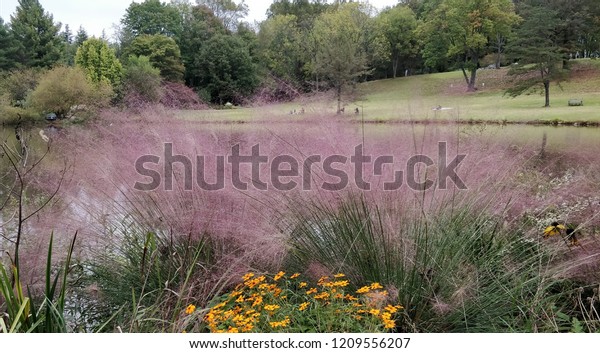 Scenery Meadowlark Botanical Gardens Stock Photo Edit Now 1209556207