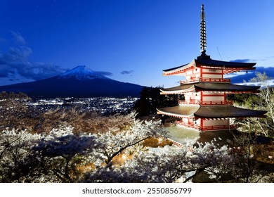 Scenery of Mount Fuji in blue twilight, with Chureito Pagoda illuminated at dusk and surrounded by beautiful cherry blossom (Sakura) trees, in Arakurayama Sengen Park, Fujiyoshida, Yamanashi, Japan - Powered by Shutterstock